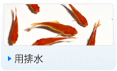 用排水